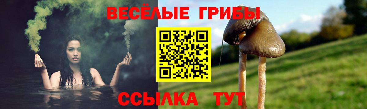 Галлюциногенные грибы Psilocybine cubensis  Вход с VPN  Галлюциногенные грибы мухоморы  Каменка 